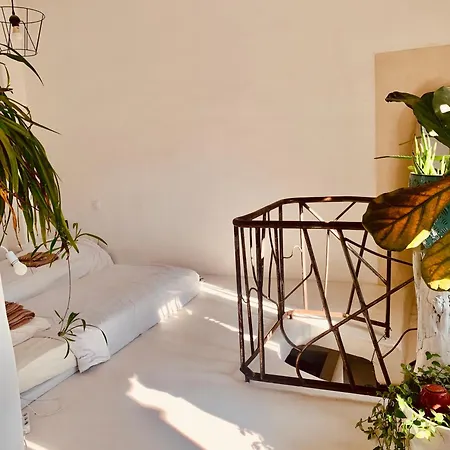 Maison Conscience Sans Alcool Ni Tabac Vegetarienne